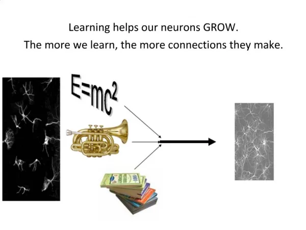 Evidence from Neuroscience