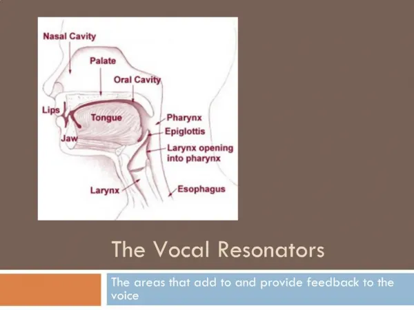 The Vocal Resonators