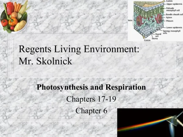 Regents Living Environment: Mr. Skolnick