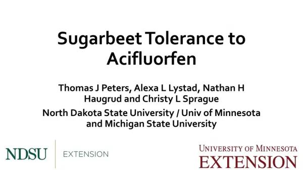 Sugarbeet Tolerance to Acifluorfen