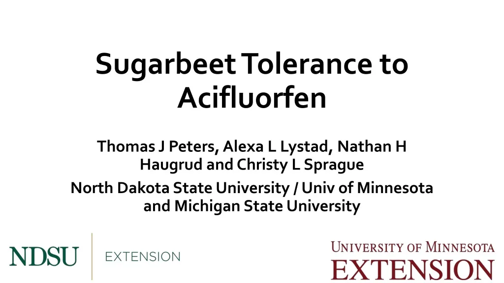 sugarbeet tolerance to acifluorfen