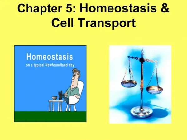 Chapter 5: Homeostasis Cell Transport