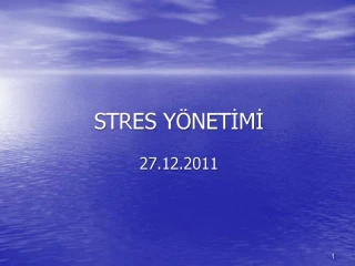 STRES Y NETIMI - slide 1