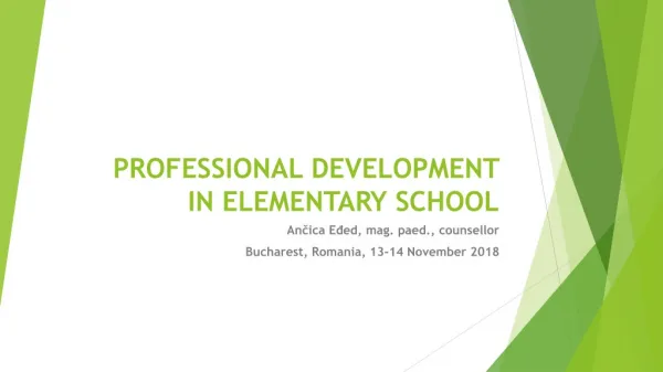 PROFESSIONAL DEVELOPMENT IN ELEMENTARY SCHOOL