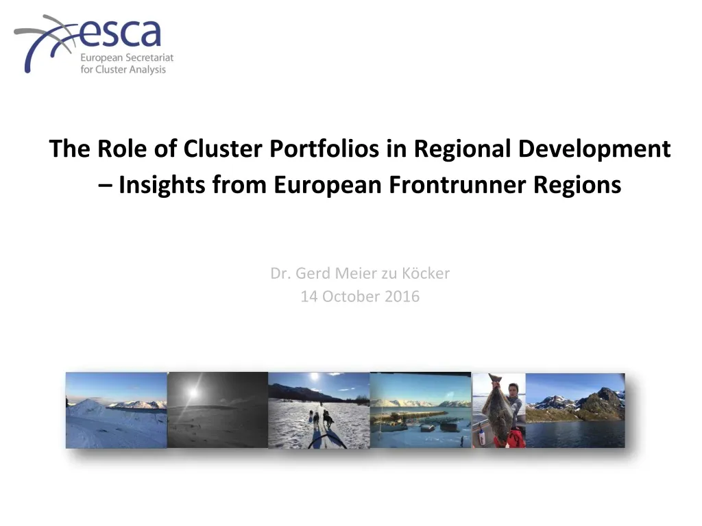 the role of cluster portfolios in regional