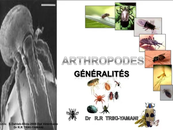 ARTHROPODES