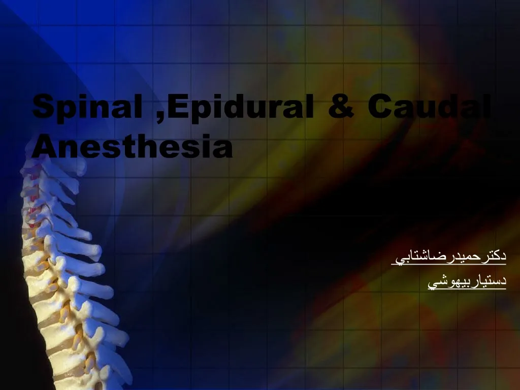 spinal epidural caudal anesthesia