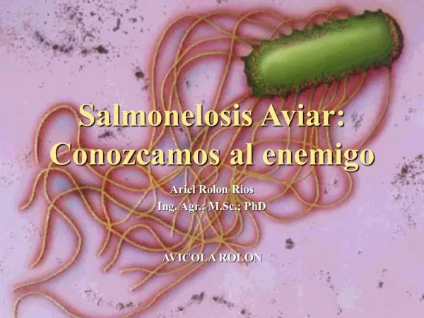 Salmonelosis Aviar: Conozcamos al enemigo