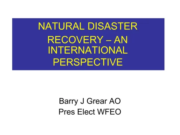 NATURAL DISASTER RECOVERY AN INTERNATIONAL PERSPECTIVE