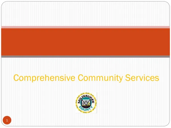 C omprehensive Community Services