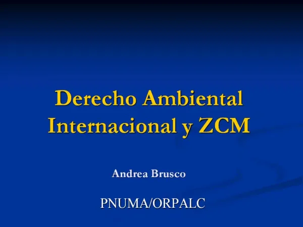 Derecho Ambiental Internacional y ZCM Andrea Brusco