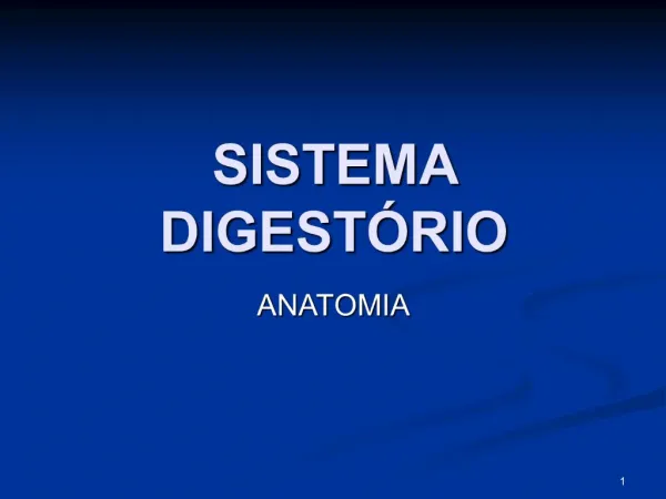 SISTEMA DIGEST RIO