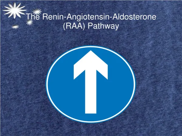 The Renin-Angiotensin-Aldosterone (RAA) Pathway