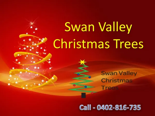 Swan Valley Christmas Trees