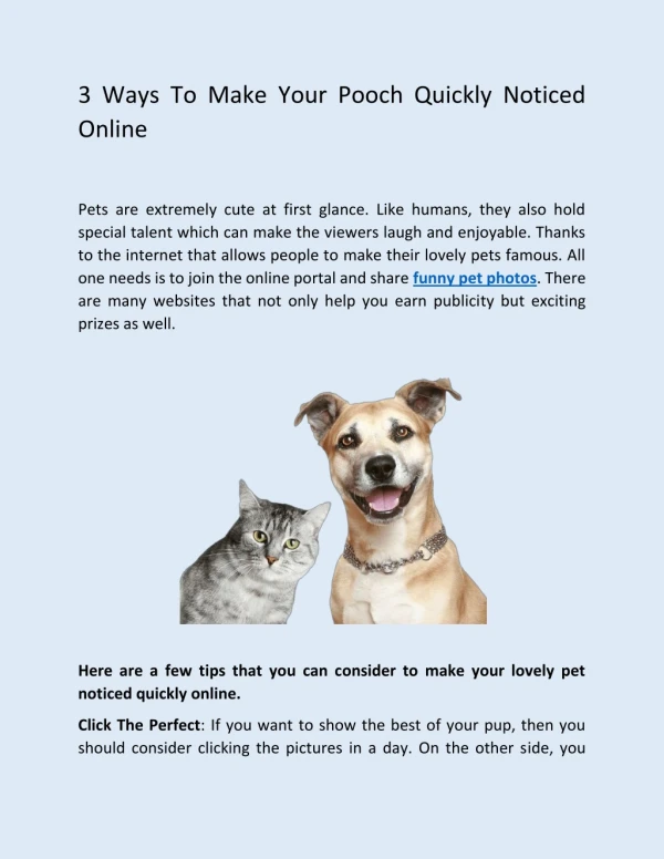 3 Ways To Make Your Pooch Quickly Noticed Online