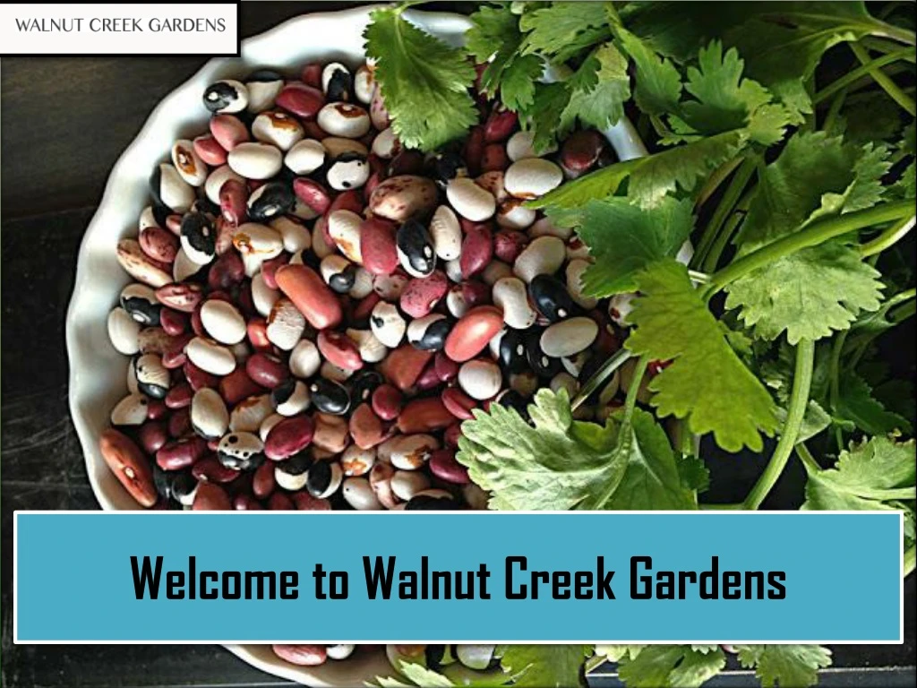 welcome to walnut creek gardens