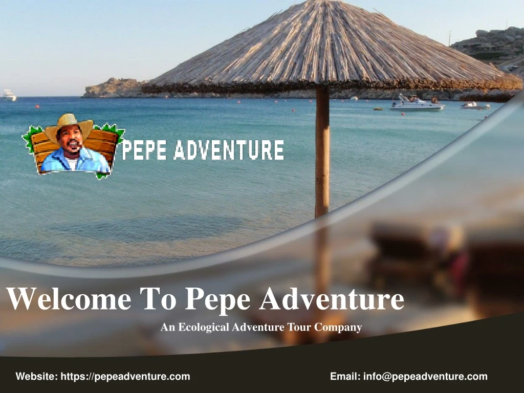welcome to pepe adventure