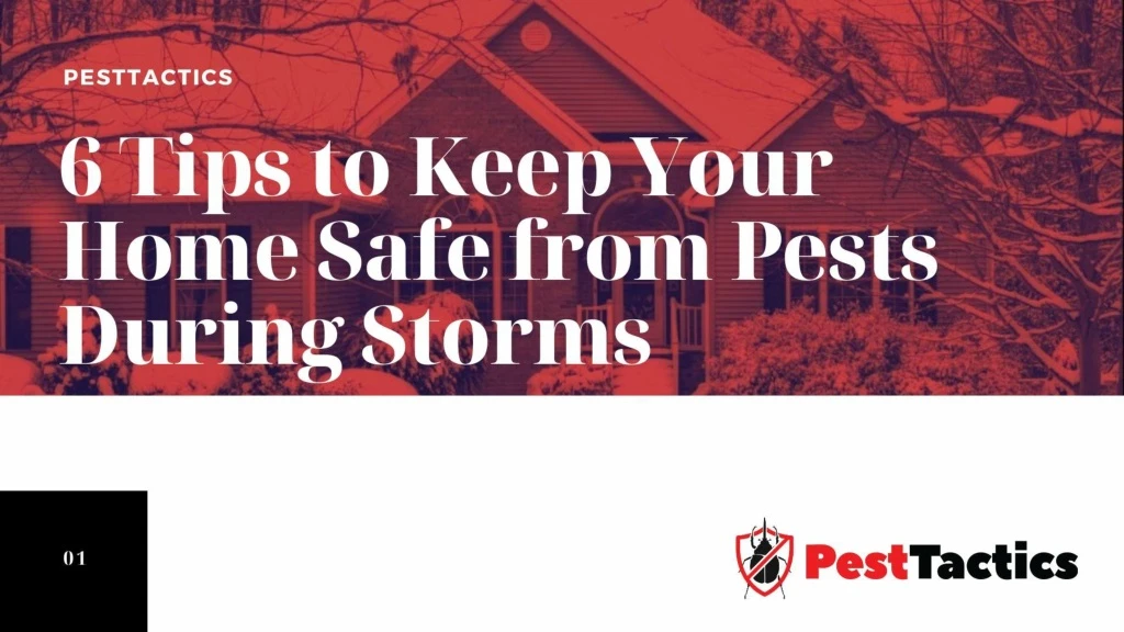 6 tips to keep your home safe from pests during