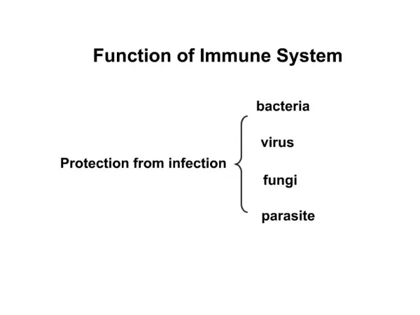 Function of Immune System