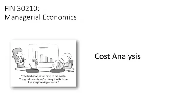 FIN 30210: Managerial Economics