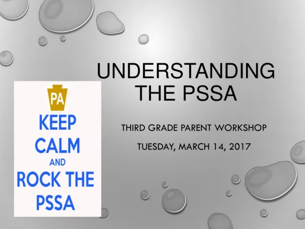 Understanding the PSSA