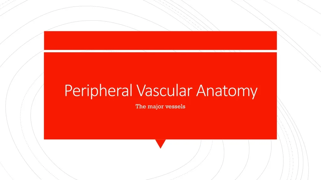 peripheral vascular anatomy