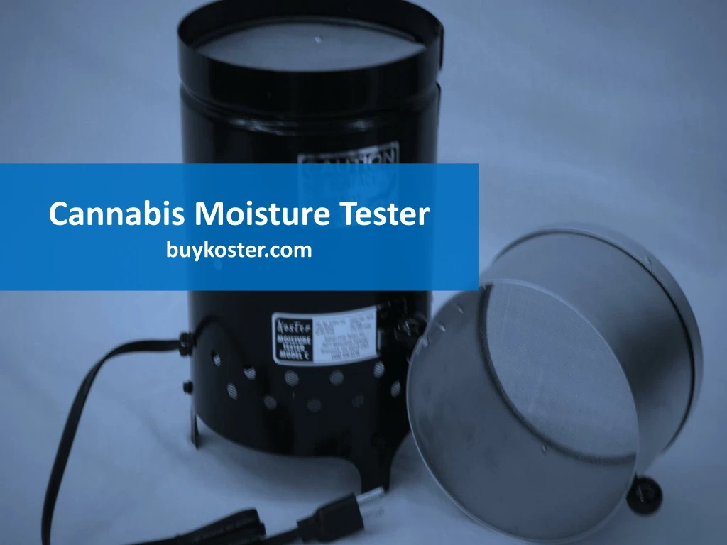 cannabis moisture tester buykoster com