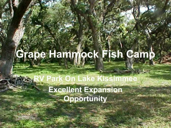 Grape Hammock Fish Camp