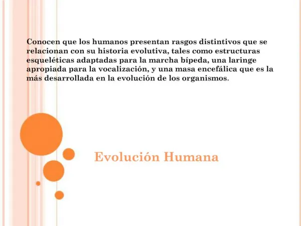 Evoluci n Humana