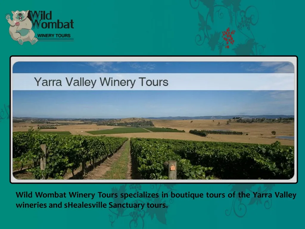 wild wombat winery tours specializes in boutique