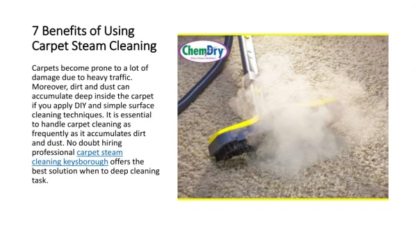 7 Benefits of Using Carpet Steam Cleaning