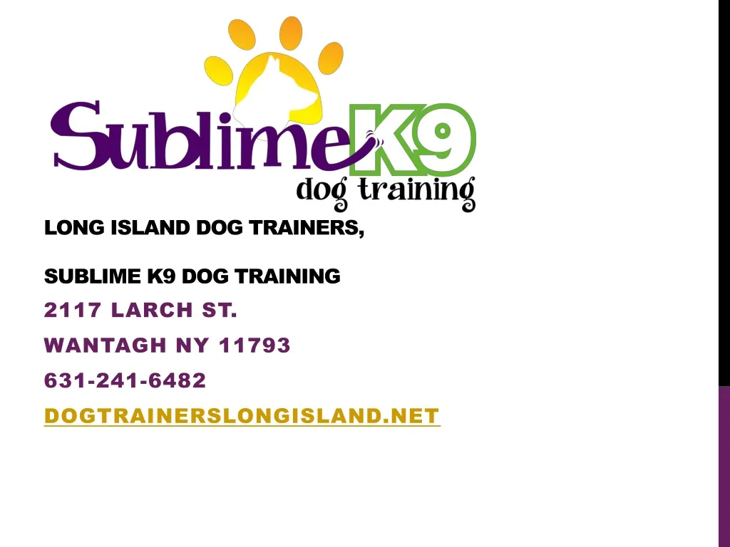 long island dog trainers sublime k9 dog training