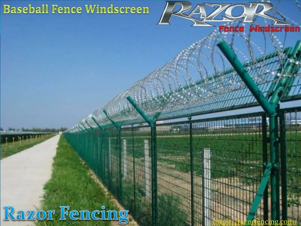 baseball fence windscreen
