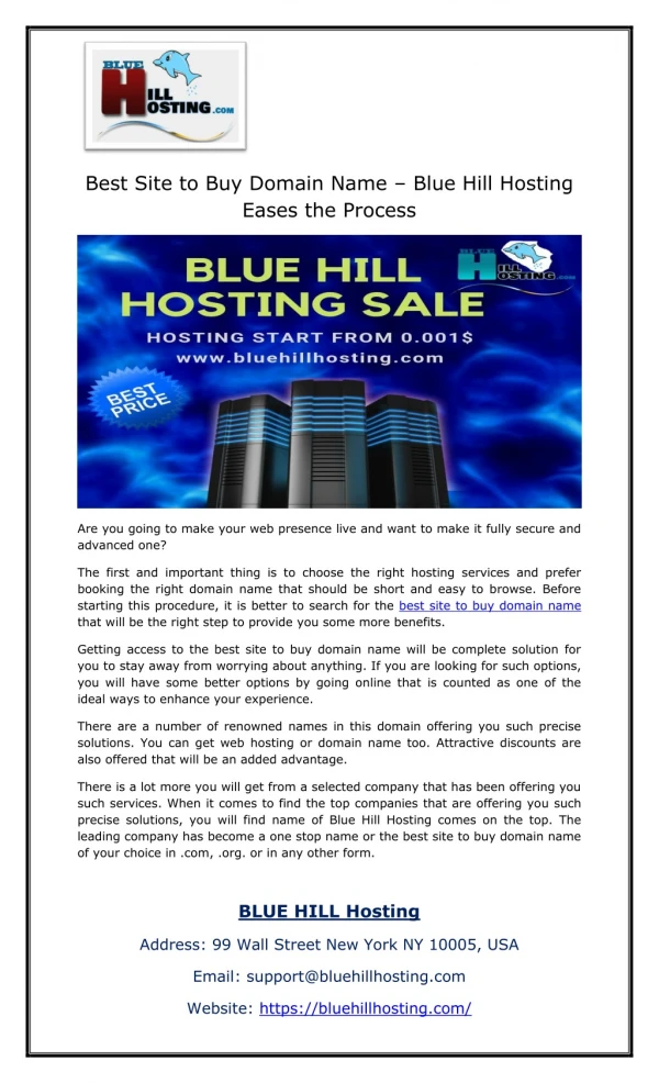 Best Site to Buy Domain Name – Blue Hill Hosting Eases the Process
