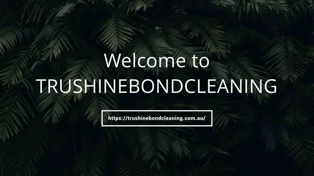 welcome to trushinebondcleaning