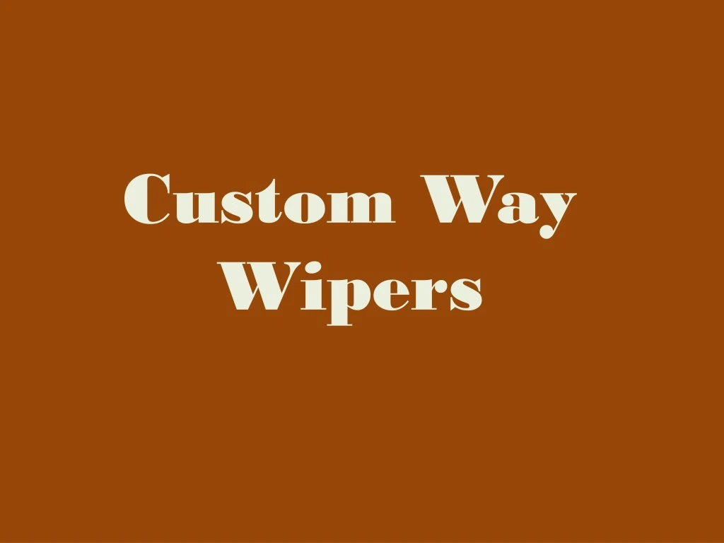 custom way wipers