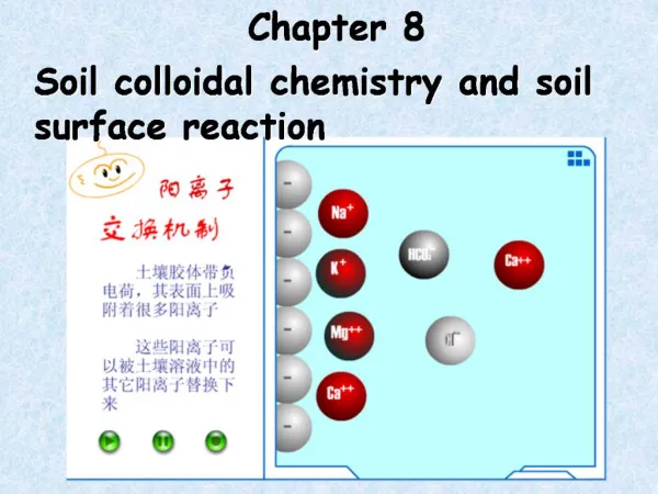 Soil colloidal chemistry and soil surface reaction