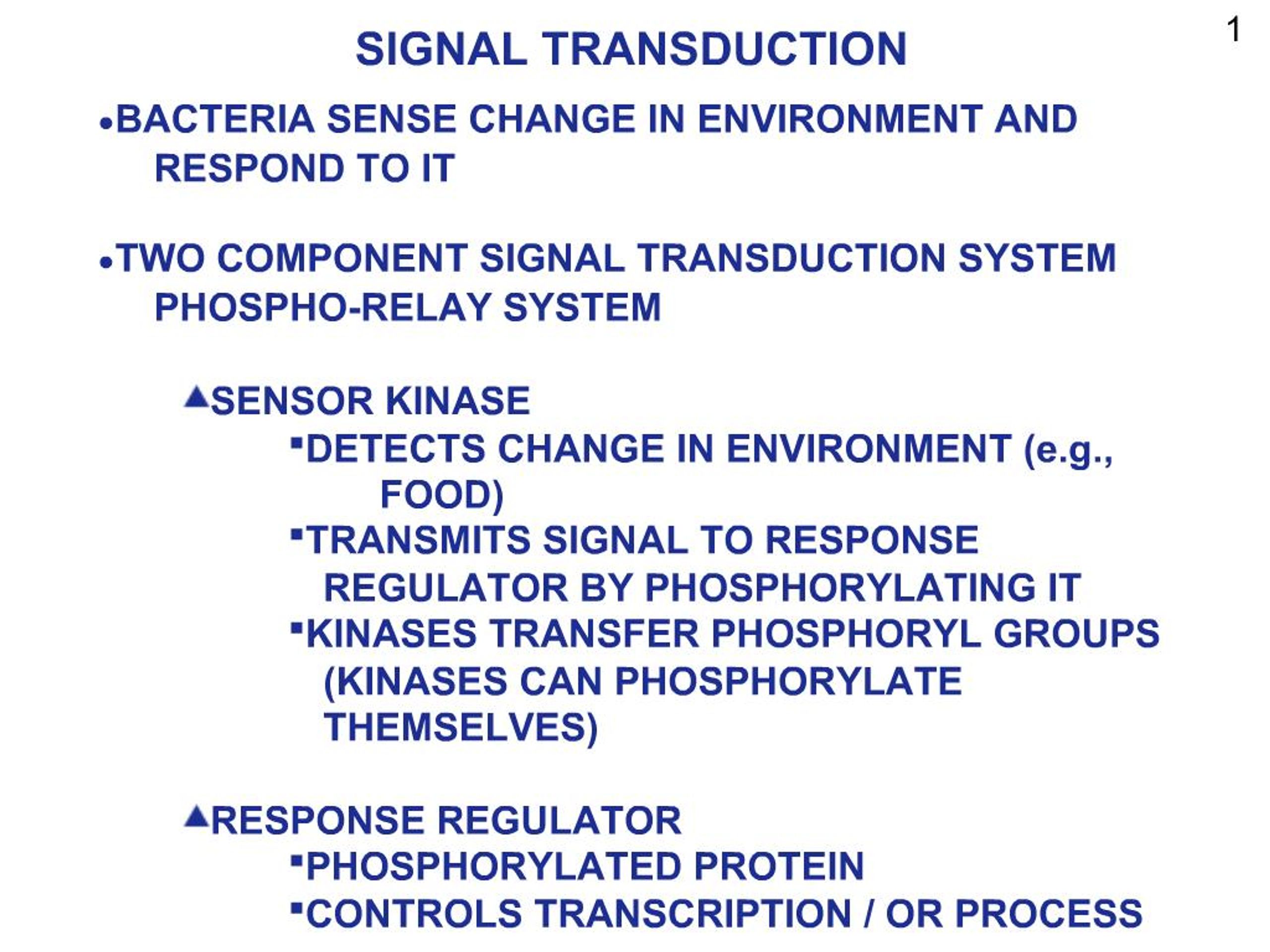 PPT - SIGNAL TRANSDUCTION PowerPoint Presentation, free download - ID ...