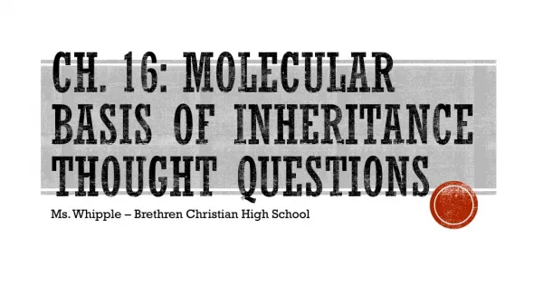 Ch. 16: Molecular Basis of Inheritance Thought Questions