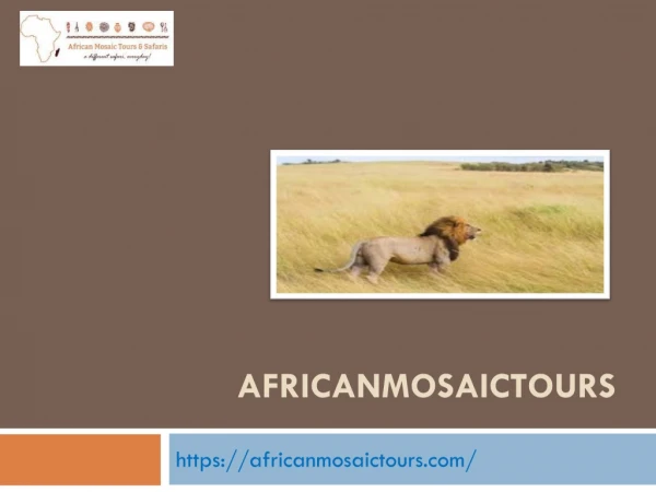 Africanmosaictours Kenya Tanzania Safari Tours