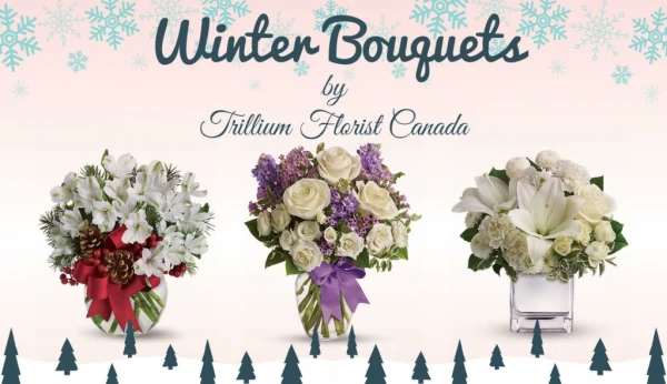 Winter Bouquets in Ontario, Toronto 2020