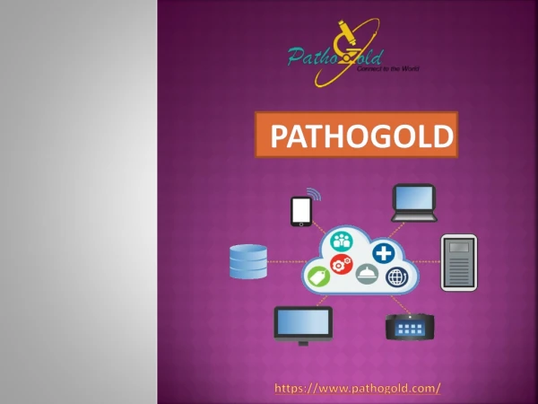 Pathology Lab Management Software – Pathogold