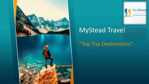 Get Best Travel Deals From MyStead Travel