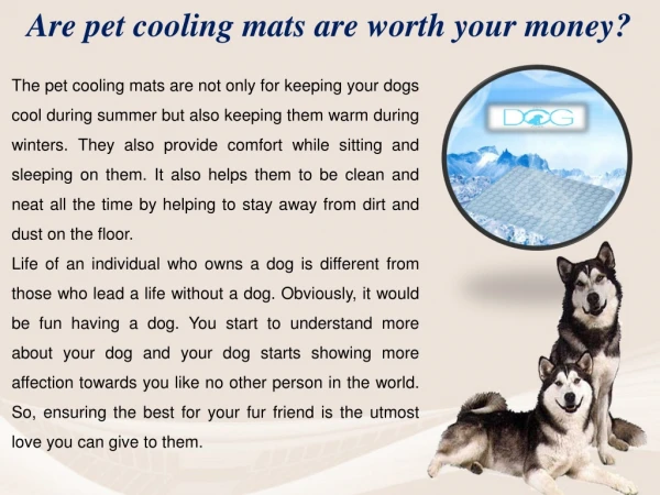 Are pet cooling mats are worth your money?