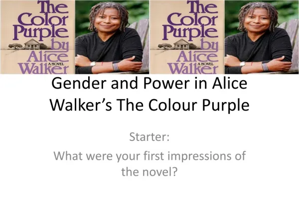 Gender and Power in Alice Walker’s The Colour Purple
