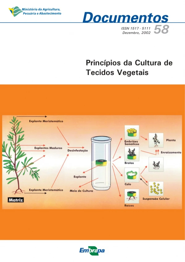 Principios-da-Cultura-de-Tecidos-Vegetais