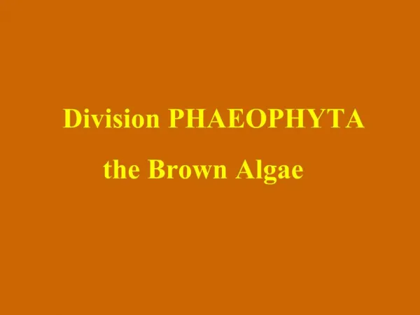 Division PHAEOPHYTA the Brown Algae