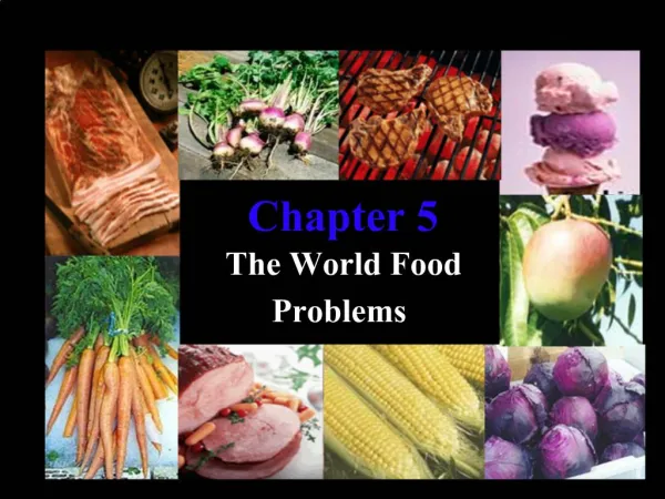 The World Food Problems