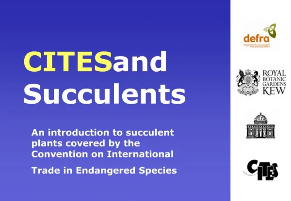 CITES and Succulents