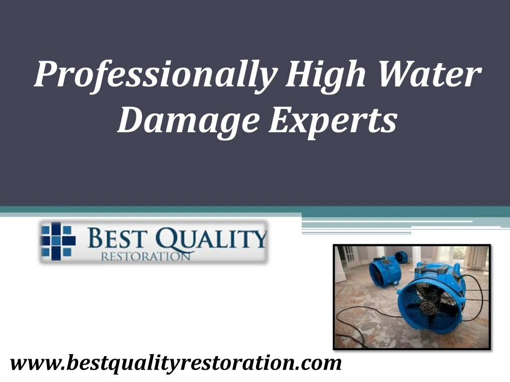 professionally high water damage experts